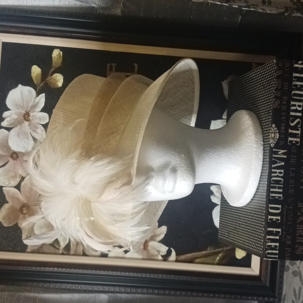 Jenny Buchanan Ladies Hat NWT